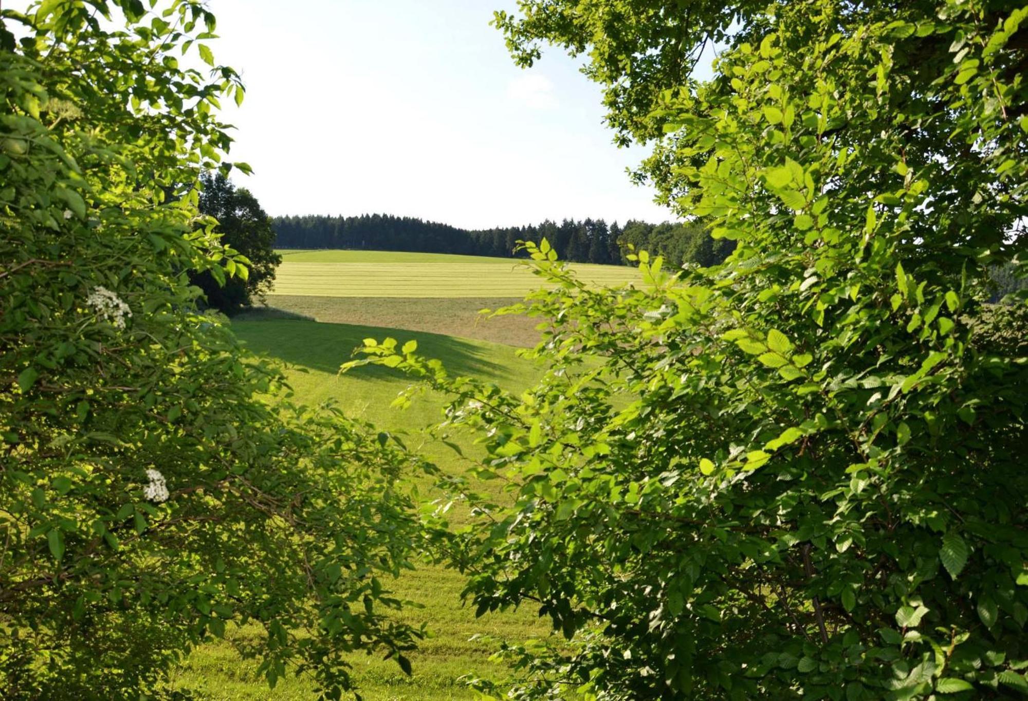 Das Ferienhaus Mondschein Im Land Der Tausend Berge - Erholung Pur In Idyllischer Alleinlage Lennestadt Dış mekan fotoğraf